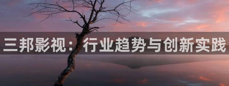 西瓜的图片大全